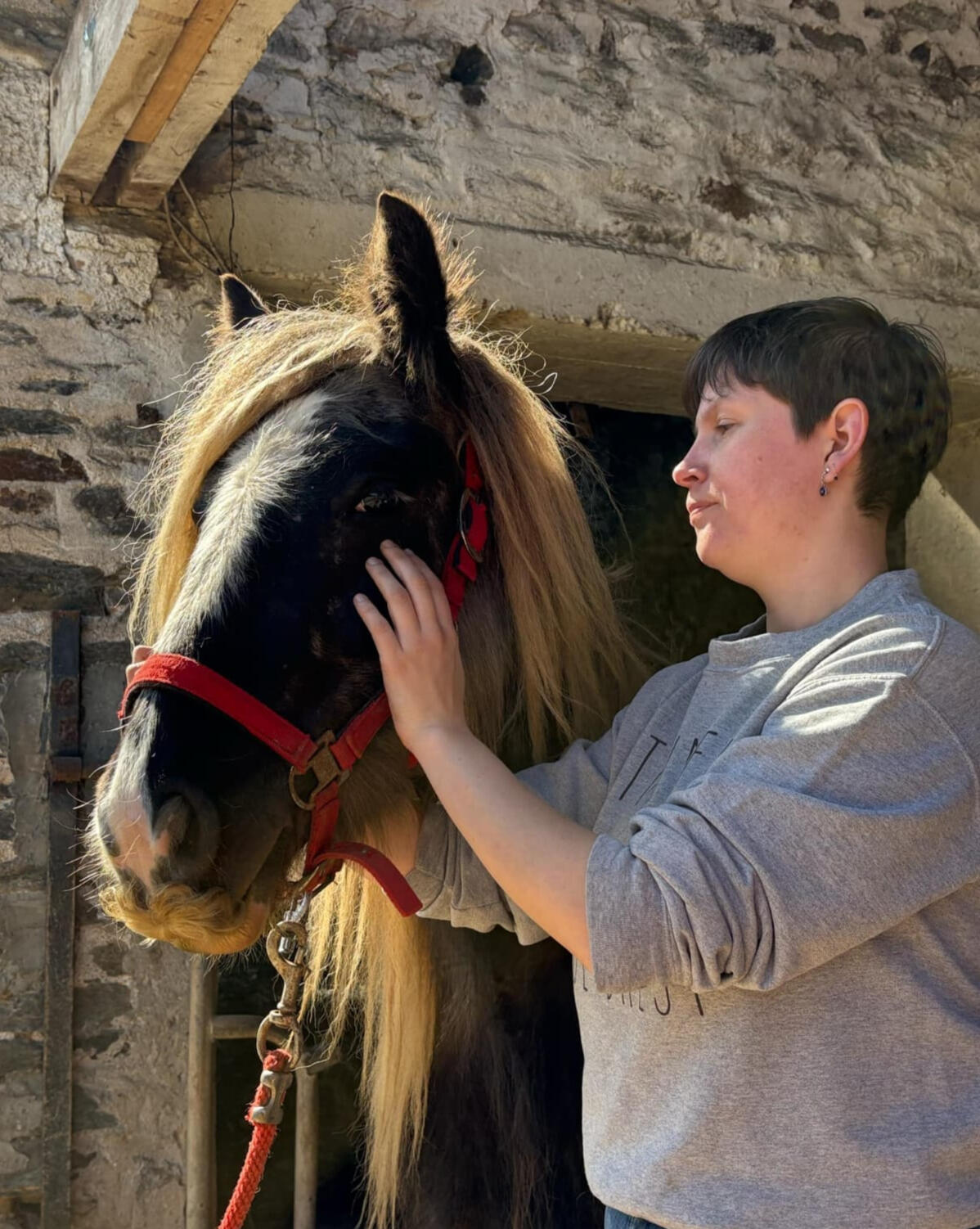 Mon approche Cheval qui se fait caresser la tête par une masseuse équin.